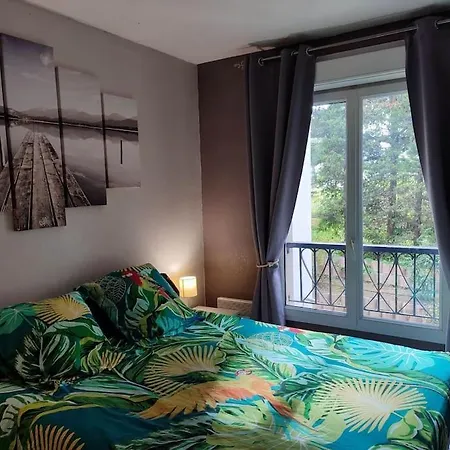 Apartment 2 Pieces Cannes